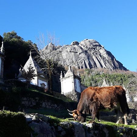 Penedino Mountain Cottage Arcos de Valdevez Exterior photo