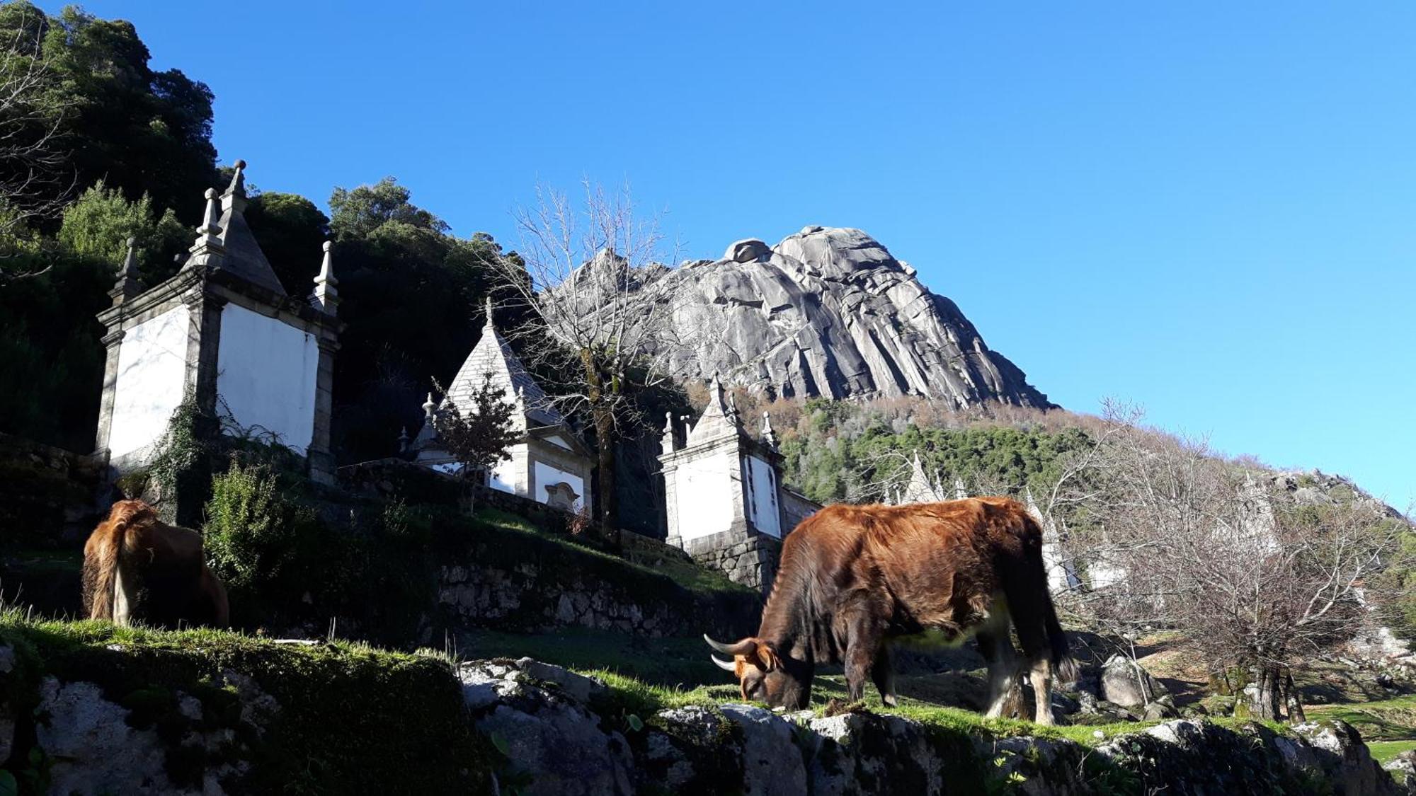 Penedino Mountain Cottage Arcos de Valdevez Exterior photo