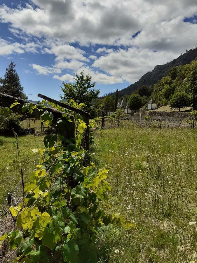 Penedino Mountain Cottage Arcos de Valdevez Exterior photo